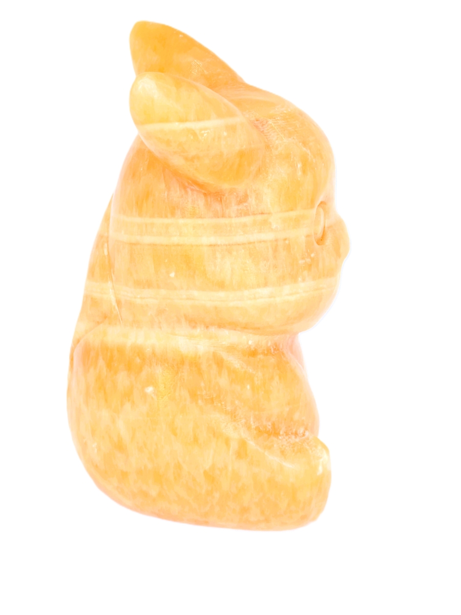 Pickachu Citrine Groot steen
