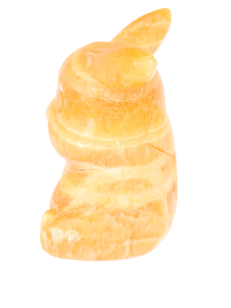 Pickachu Citrine Groot steen
