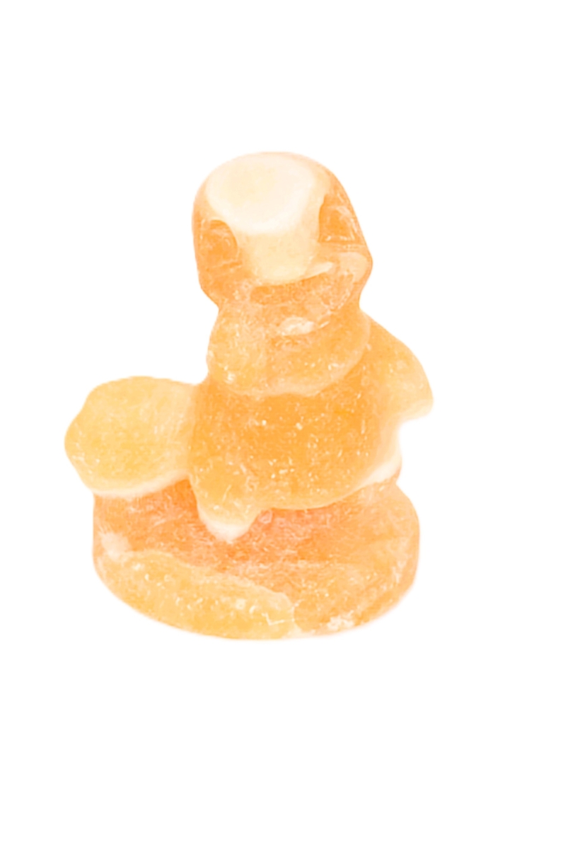 Charmander Citrine Pokemon steen