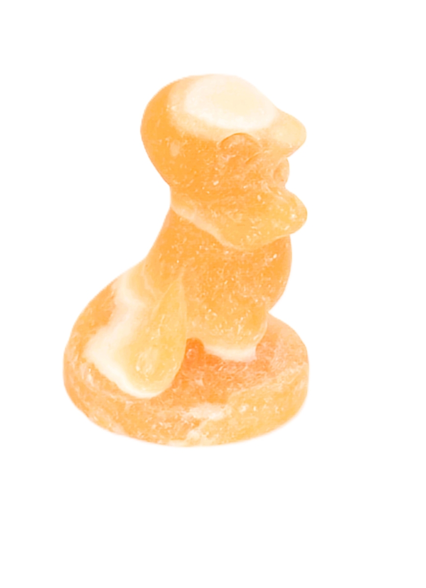 Charmander Citrine Pokemon steen