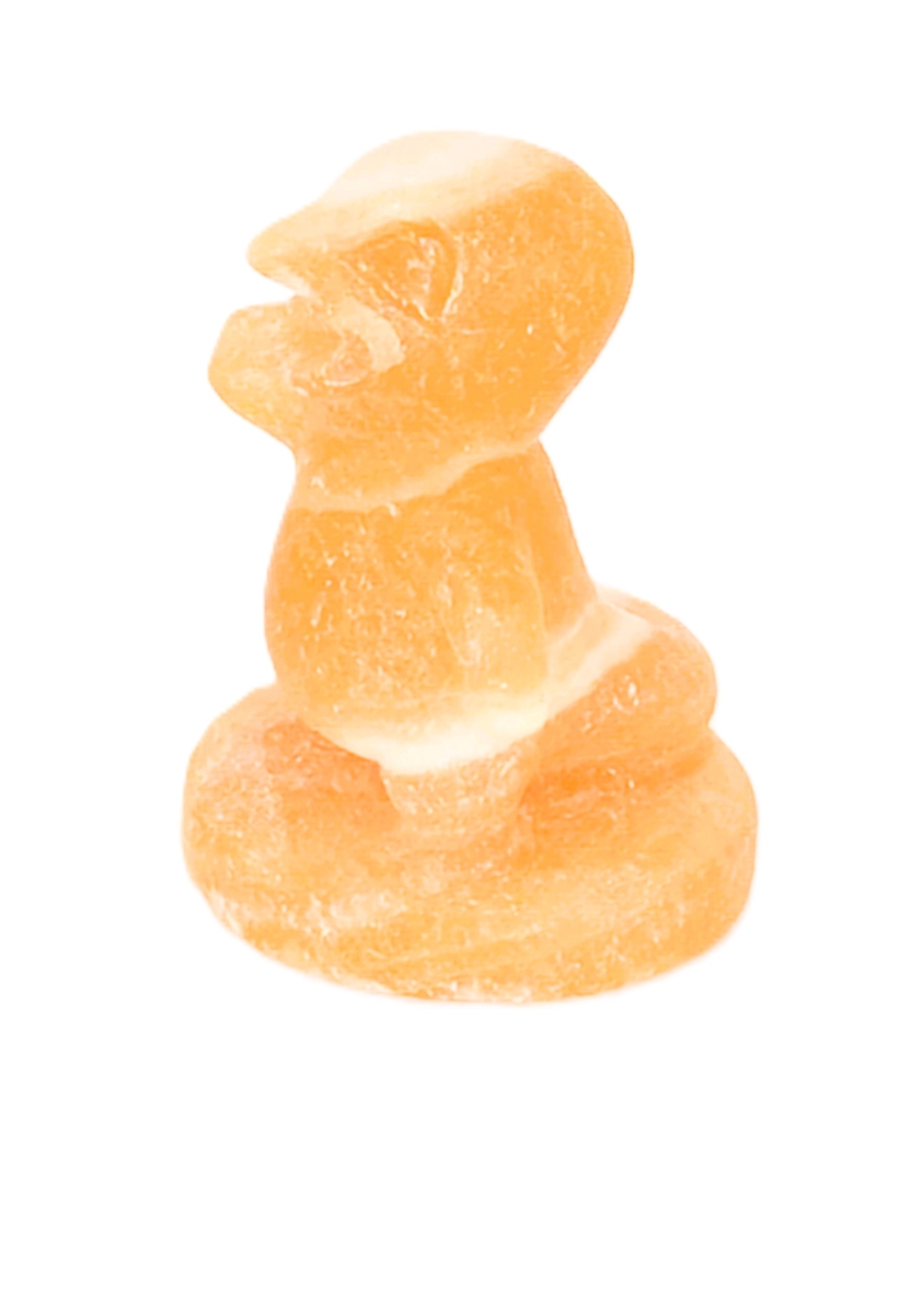 Charmander Citrine Pokemon steen