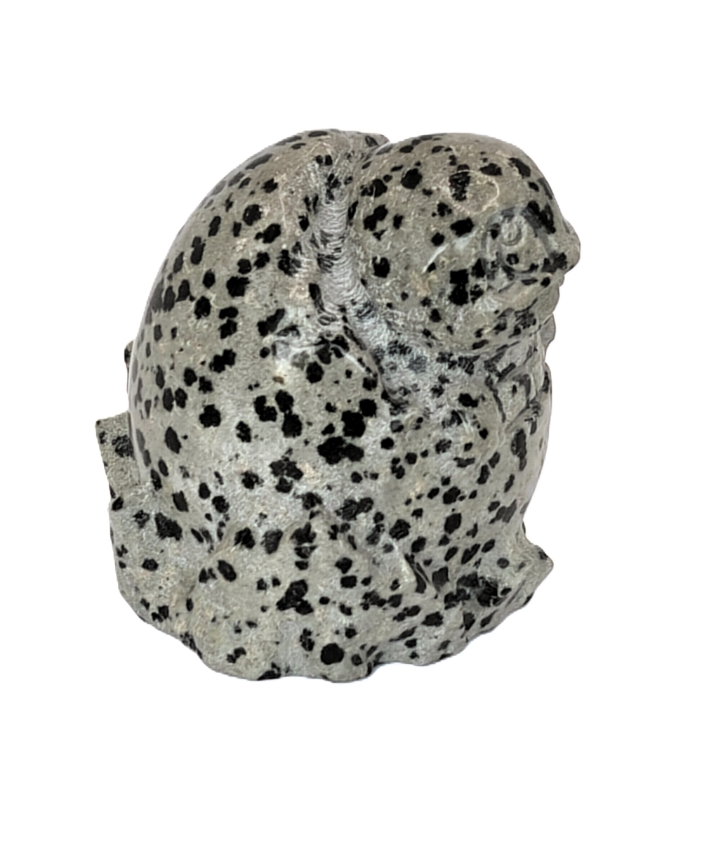 Bulbasaur Egg Pokemon steen Dalmatiscche Jaspis
