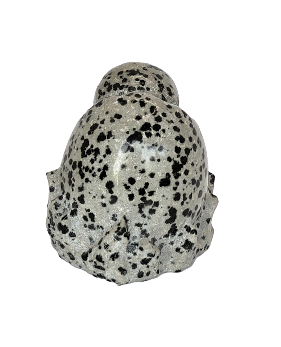 Bulbasaur Egg Pokemon steen Dalmatiscche Jaspis
