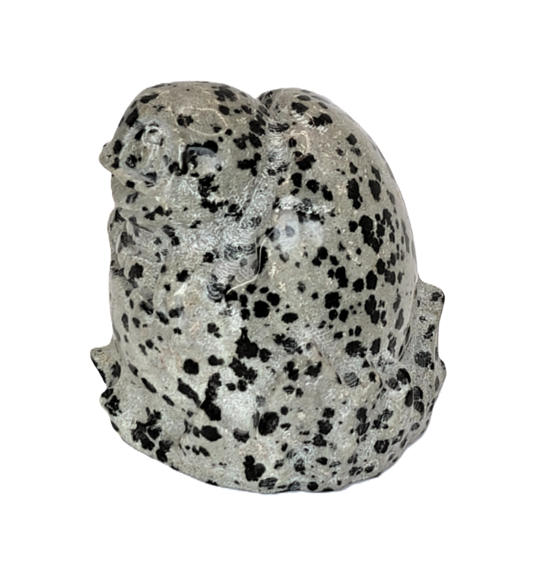 Bulbasaur Egg Pokemon steen Dalmatiscche Jaspis