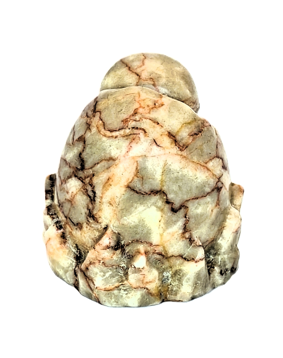 Bulbasaur Egg Pokemon steen Jaspis