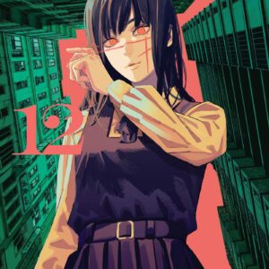 Chainsaw Man, Vol. 12